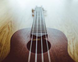 Ukulele review