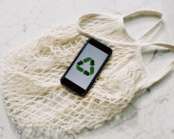 Sustainable Marketing: What It Means and How to Start