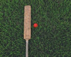 7 Essential Things About Cricket Every Enthusiastic Beginner Must Know About