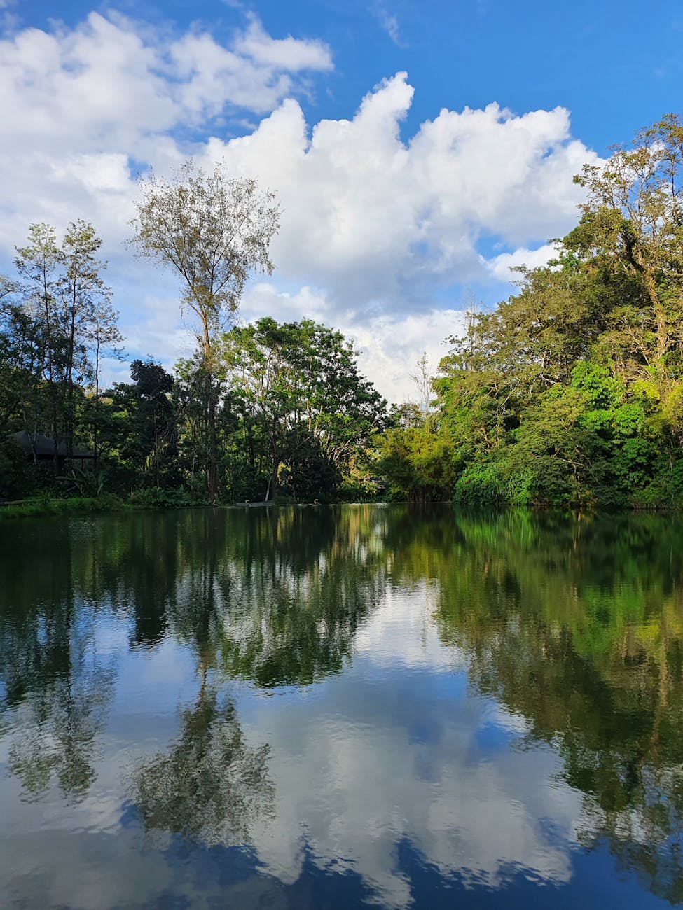 peaceful lake reflection in madikeri india