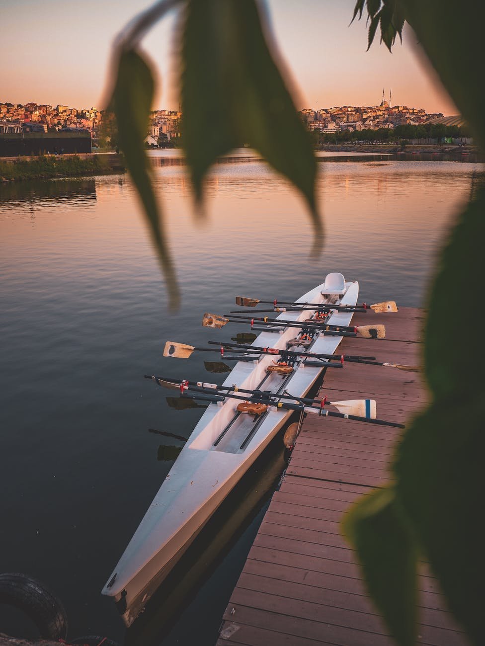 World Of Rowing As A Competitive Sport