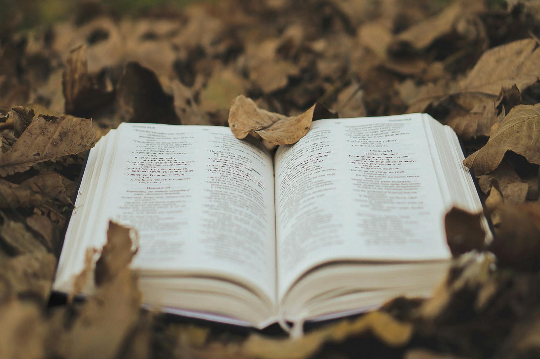 open book amid autumn leaves dramatic scene